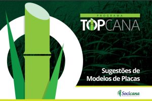Modelos-de-Placas