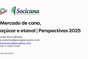 Mercado de cana, açúcar e etanol - Perspectivas 2025